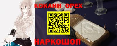 тгк Бийск