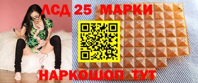 тгк Бийск