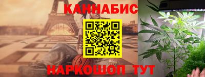 тгк Бийск