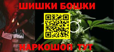 тгк Бийск