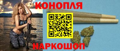 тгк Бийск