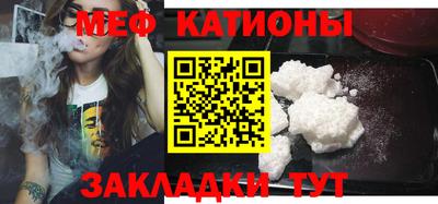 тгк Бийск