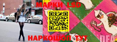 тгк Бийск