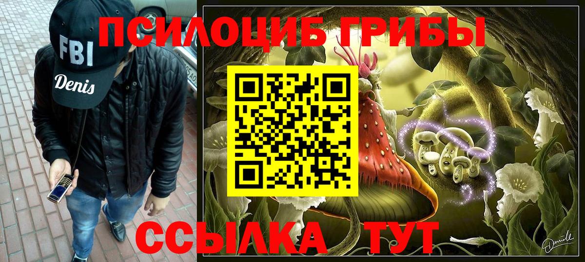 Псилоцибиновые грибы Cubensis Десногорск