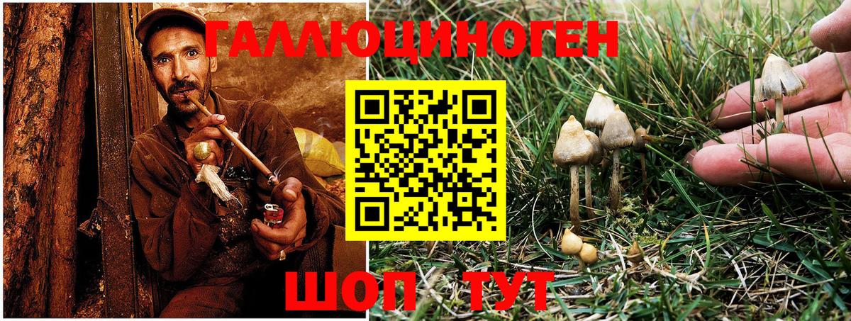 Десногорск  Псилоцибиновые грибы Psilocybe  Галлюциногенные грибы Psilocybe  Вход с VPN 